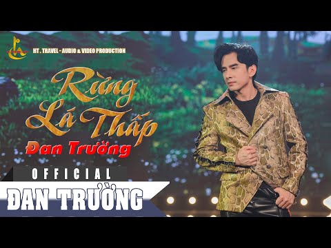 RỪNG LÁ THẤP || ĐAN TRƯỜNG || ALBUM BO BOLERO