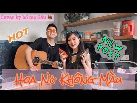 Hoa Nở Không Màu - Hoài Lâm | Cover Cực Tình Cảm Bố Mẹ Gấu