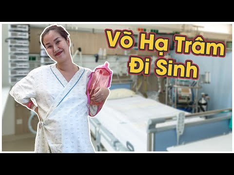 Ngày Trâm đi đẻ | Vo Ha Tram Official