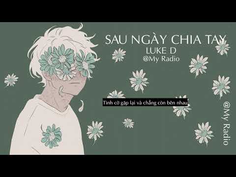 SAU NGÀY CHIA TAY - LUKE D Lyrics Video