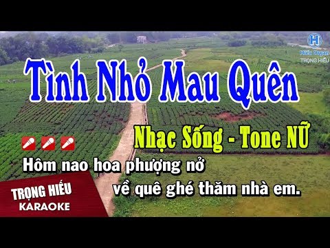 Karaoke Tình Nhỏ Mau Quên | Tone Nữ Nhạc Sống | tình nhỏ mau quên karaoke beat nữ