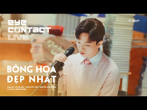 BÔNG HOA ĐẸP NHẤT - Hoàng Dũng | Eye Contact LIVE - 5th Project